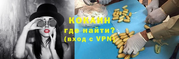 гашик Богданович