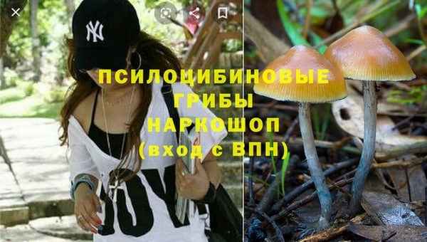 гашик Богданович