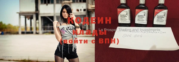 гашик Богданович