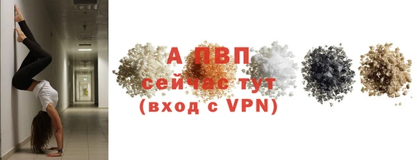 кокс Богородицк