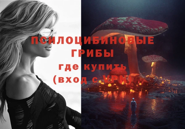 кокс Богородицк