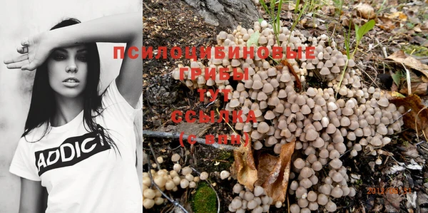 таблы Богородск